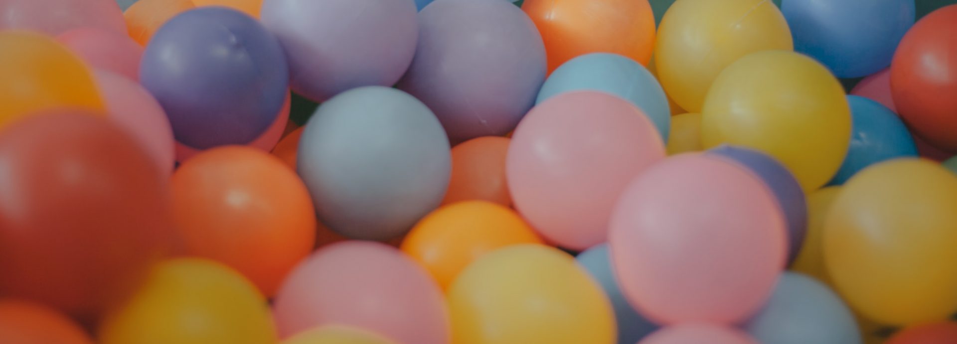 The Tree of Knowledge Daycare